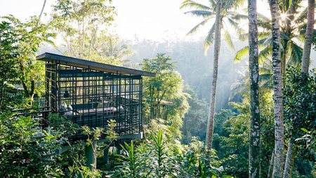 Awe-Inspiring Hotel Stays Embedded in Natural Wonders