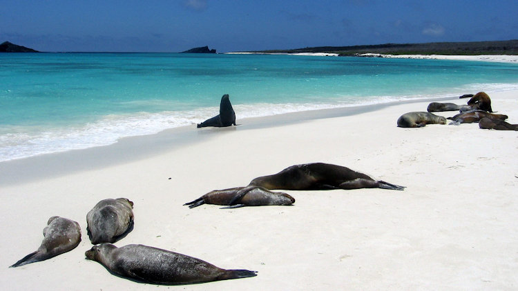 Espanola Galapagos